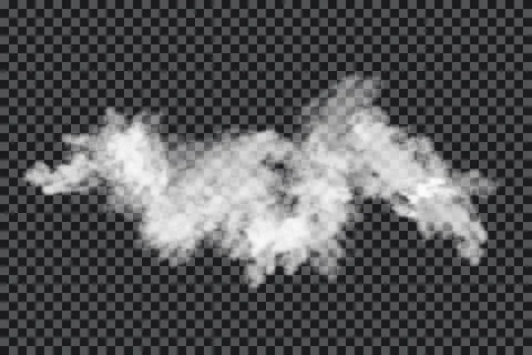 Nube Humo Sobre Fondo Transparente Niebla Realista Textura Niebla Aislada — Vector de stock