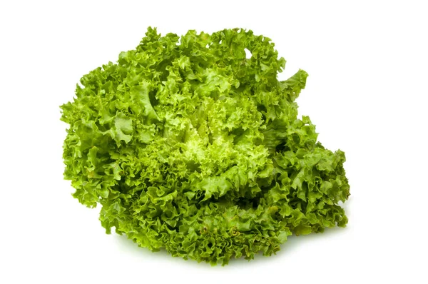 Fresh Lettuce Salad Leaves Organic Food Isolated White Background — Stock Photo, Image