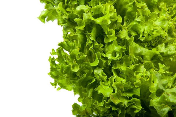 Friss Saláta Saláta Levelek Bioélelmiszerek Elszigetelt Fehér Background — Stock Fotó