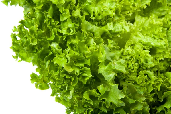 Taze Marul Salatası Yaprak Beyaz Arka Plan Üzerinde Izole Organik — Stok fotoğraf