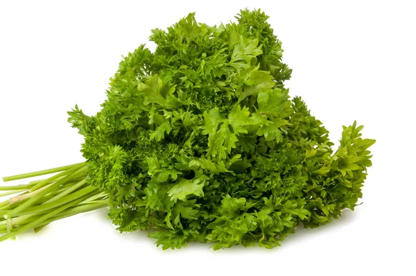 Fresh Green Parsley Salad Isolated White — Stock Photo, Image