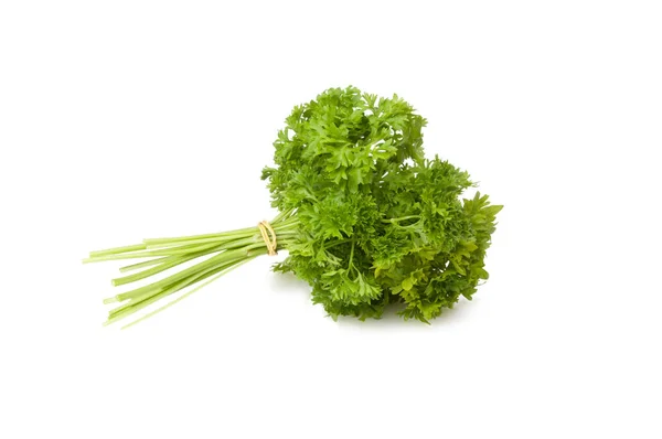 Fresh Green Parsley Salad Isolated White — Stock Photo, Image