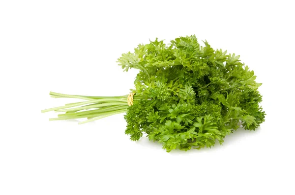 Fresh Green Parsley Salad Isolated White — Stock Photo, Image