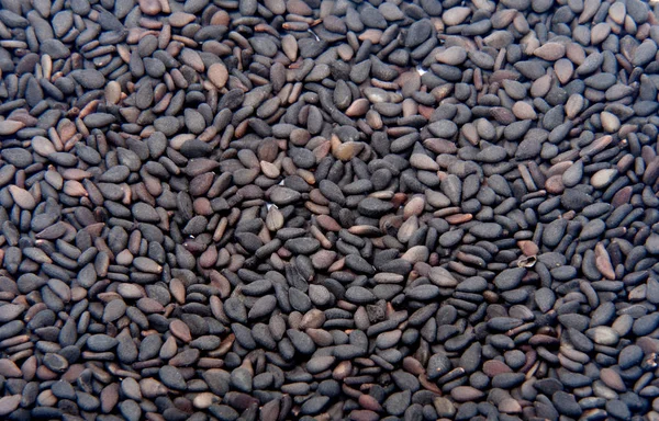 Černá Sezamová Semínka Izolované Bílém — Stock fotografie