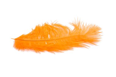 turuncu renk üzerine beyaz izole kabarık tüy dikmiş