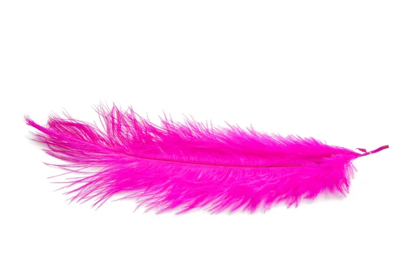 白色的粉红色的绒毛羽毛 — 图库照片