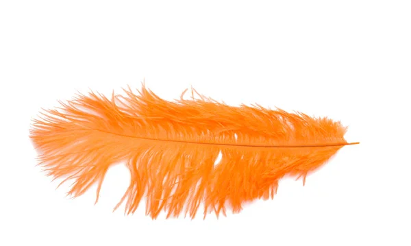 Plume Duveteuse Couleur Orange Isolée Sur Blanc — Photo