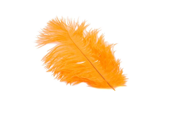 Fluffiga Fjäder Orange Färg Isolerat Vitan — Stockfoto