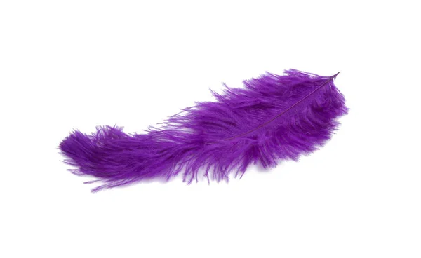 白色蓬松的羽毛在紫色被隔绝了 — 图库照片