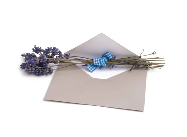 Craft Papper Kuvert Med Tom För Post Och Lavendel Isolerat — Stockfoto