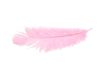 pembe renk üzerine beyaz izole kabarık tüy