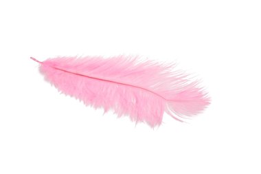 pembe renk üzerine beyaz izole kabarık tüy