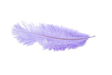 mavi renk üzerine beyaz izole kabarık tüy dikmiş