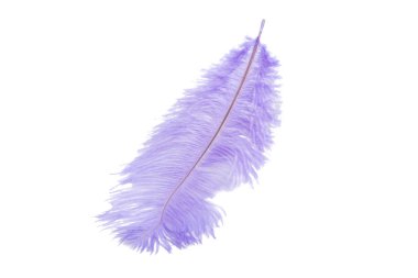 mavi renk üzerine beyaz izole kabarık tüy dikmiş