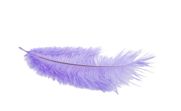 Fluffy Feather Blue Color Isolated White — Stock Photo, Image