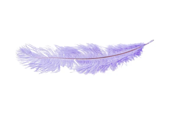 Fluffy Feather Blue Color Isolated White — Stock Photo, Image