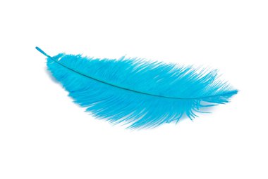 mavi renk üzerine beyaz izole kabarık tüy dikmiş