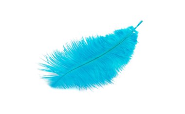 mavi renk üzerine beyaz izole kabarık tüy dikmiş