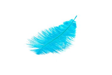 mavi renk üzerine beyaz izole kabarık tüy dikmiş