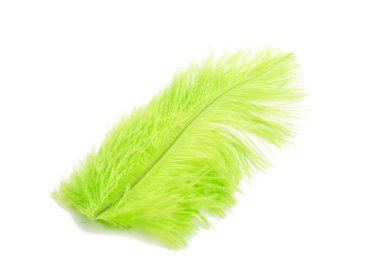 yeşil renk üzerine beyaz izole kabarık tüy dikmiş