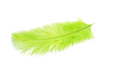 yeşil renk üzerine beyaz izole kabarık tüy dikmiş