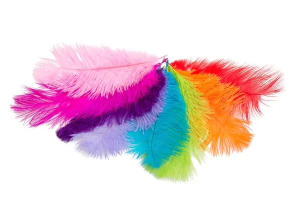 Many Colorful Fluffy Feathers Isolated White — Stock Photo, Image