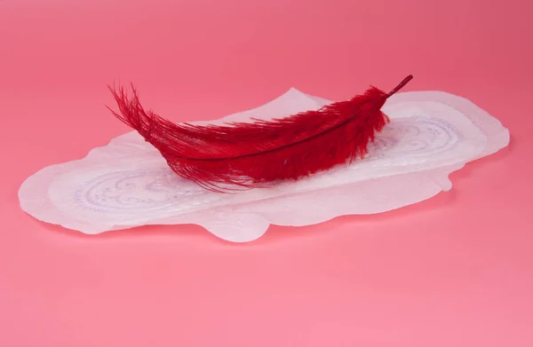 cotton medical towel or pad for women critical days with red feather on pink background. Care and protection.