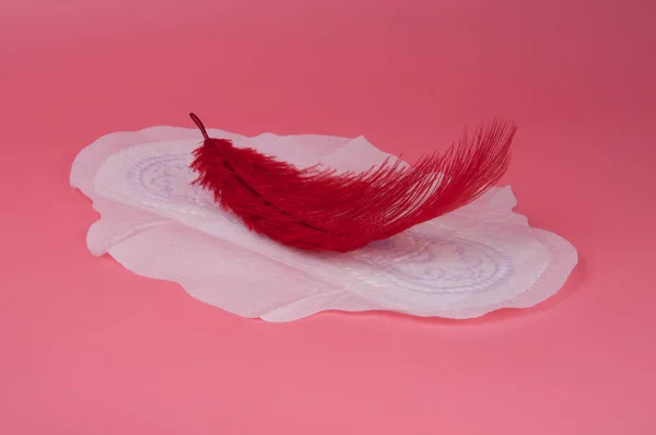 cotton medical towel or pad for women critical days with red feather on pink background. Care and protection.