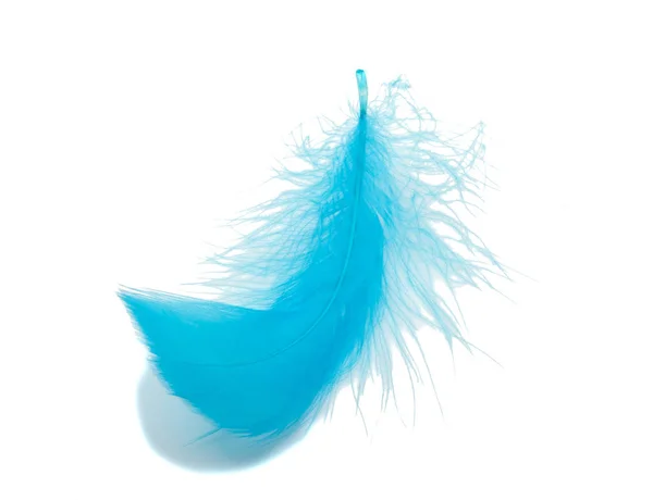 Blue fluffy feather soft isolated on the white studio background — Stock Photo, Image
