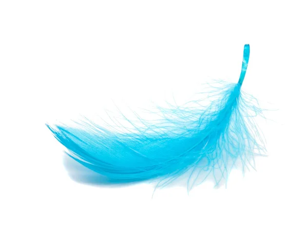 Blue fluffy feather soft isolated on the white studio background — Stock Photo, Image