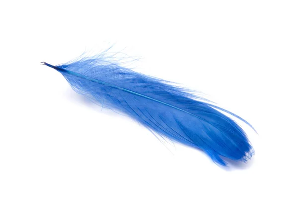 Pena macia azul macia isolada no fundo do estúdio branco — Fotografia de Stock