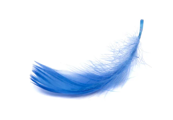Blue fluffy feather soft isolated on the white studio background — Stock Photo, Image