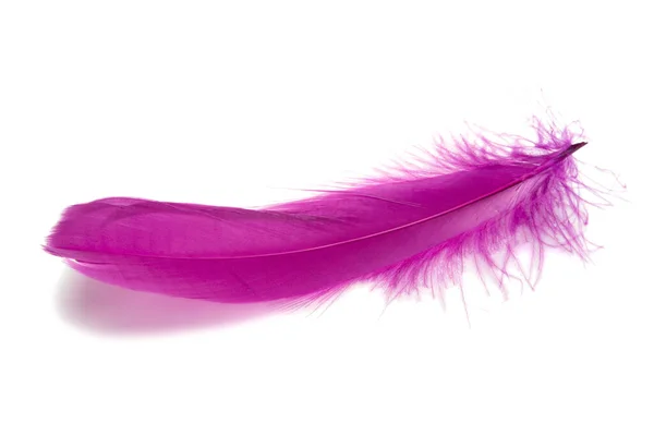 Plume Pelucheuse Couleur Violette Magenta Isolée Sur Blanc — Photo