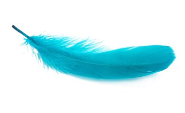 Stüdyodaki tüylü kuş tüyü dekoratif stili beyaz renkte izole edilmiş.