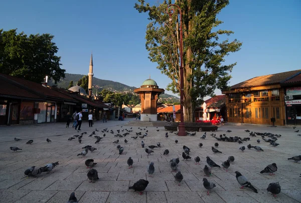 Sebilj Sarajevo Vroeg Ochtend Het Hoofdplein Van Stad Centrum Van — Stockfoto