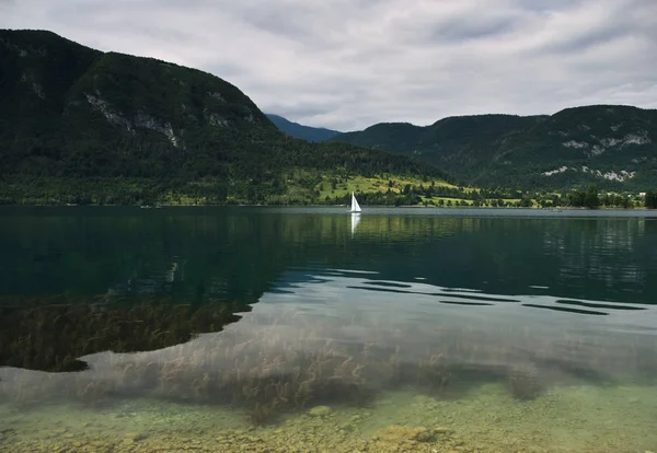 Surplombant Lac Bohinj Avec Une Eau Super Claire Voilier — Photo