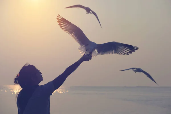 Uçan martı silüeti ve wohan elinden yemek yemek.