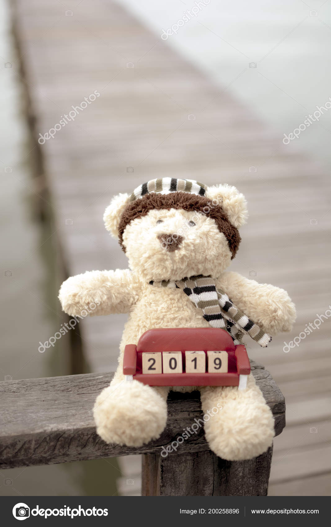 2019 teddy bear