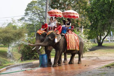 Ayutthaya, Tayland - 12 Şubat 2018: Asya turist Ayutthaya Historical Park fil üzerinde oturduğum için seyahat için gel. Fil Tayland'ın ulusal sembolü haline geldi..