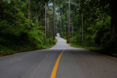 Sürüş orman yolları. Güzel yol passsing Chiangdao dağ, Chiangmai, Tayland için.