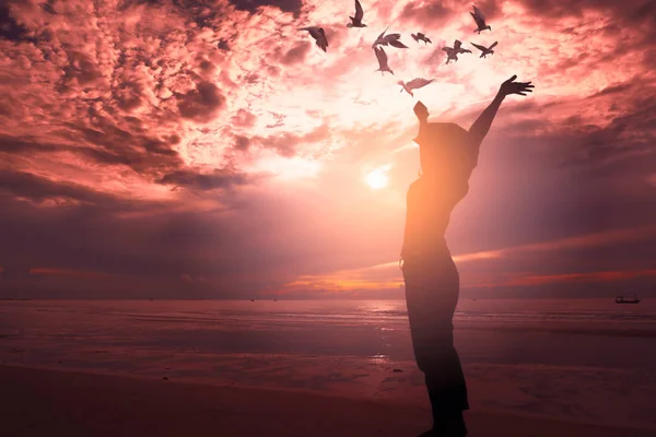 生命自由在自然界中的概念 背景中 一名女子站在海滩和日落场景上 — 图库照片