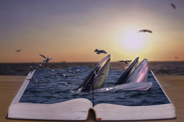 Sanal görüntü. Bryde'nın balinalar kitap. (Okuma yüzlerce kitap için bir kerelik deneyim karşılaştırılabilir değildir).