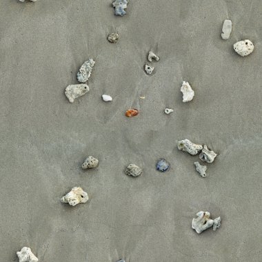 Plaj katında Corals Dikişsiz desen.