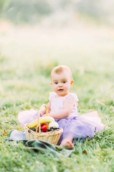 Portrait Adorable Cheerful Baby Girl Wilth Basket Fruits Park — Stock Photo, Image