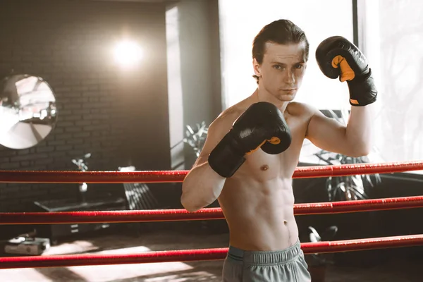 Retrato de homem boxeador em luvas contra fundo claro brilhante no anel de boxe. Treinamento conceitual boxe . — Fotografia de Stock
