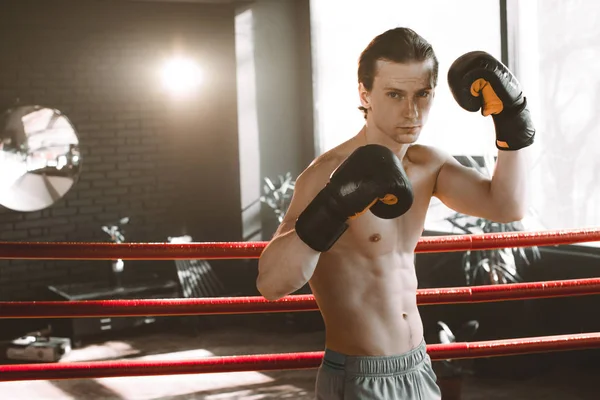 Portrait of boxer man in gloves against bright light background in boxing ring. Concept training boxing. — Stock Photo, Image