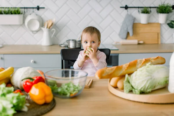 Meyve yemek bebek. Güneşli mutfakta siyah yüksek sandalyede otururken yeşil elma yiyen küçük kız bebek. Çocuklar için sağlıklı beslenme. Katı yiyecek bebek için. Atıştırma veya kahvaltı için genç çocuk — Stok fotoğraf