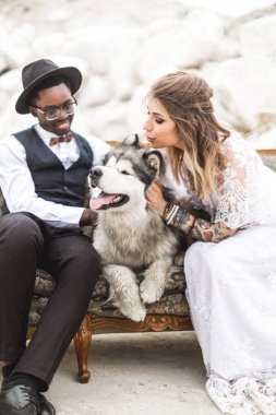 En iyi arkadaş hayvanlar kavramı - Kafkas kadın ve Afrikalı adam bir retro kanepede oturan açık çöl yerde onun güzel ihale köpek baş baş baş