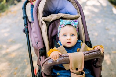 Bebek arabada tek başına oturuyor. Doğada bebek arabasında bebek
