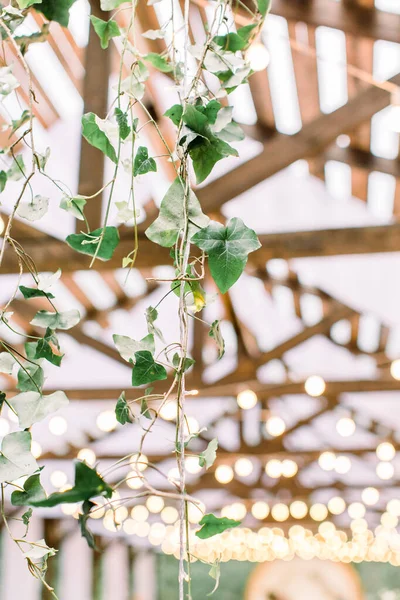 Lâmpadas elegantes com decoração de vegetação no restaurante ao ar livre. Concentre-se na vegetação — Fotografia de Stock